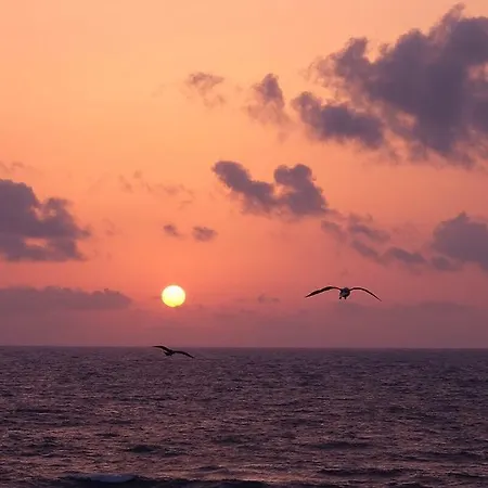 Sozopoli Beach سوزوبول